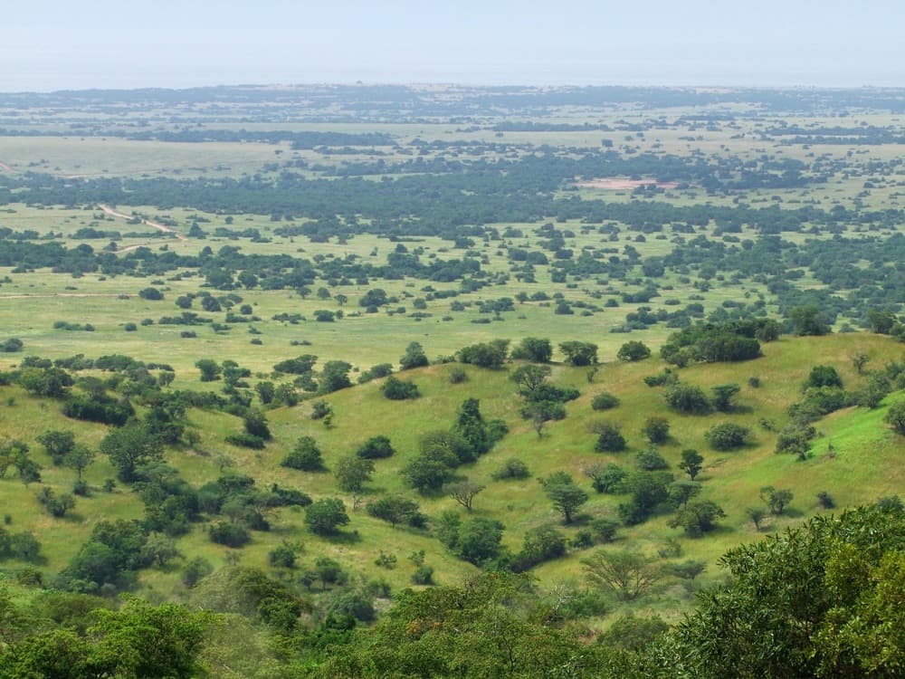 kabwoya wildlife reserve