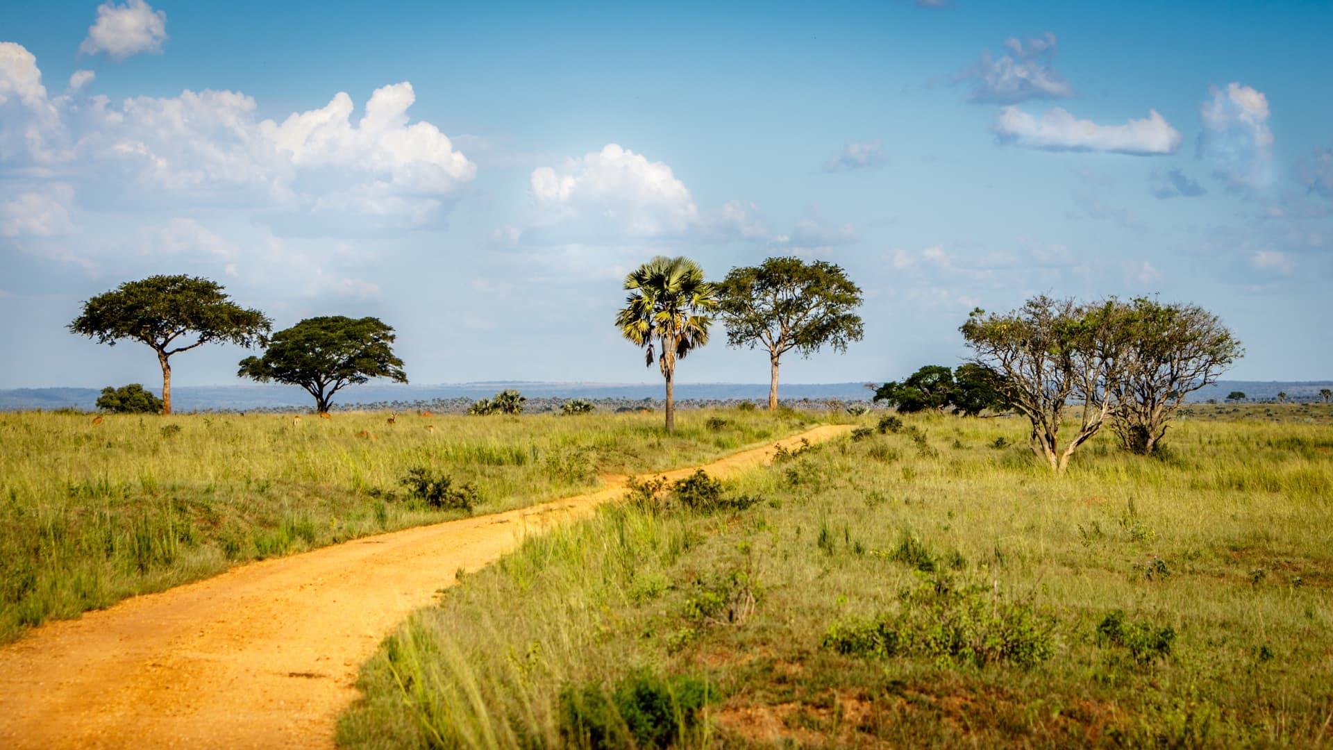 Leah Namugerwa: un'attivista per un futuro verde in Ouganda